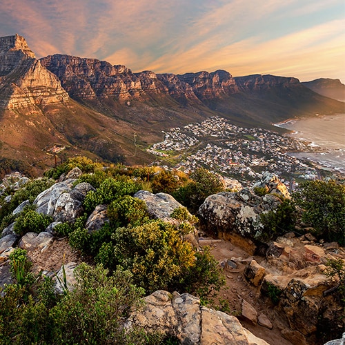 Table Mountain National Park